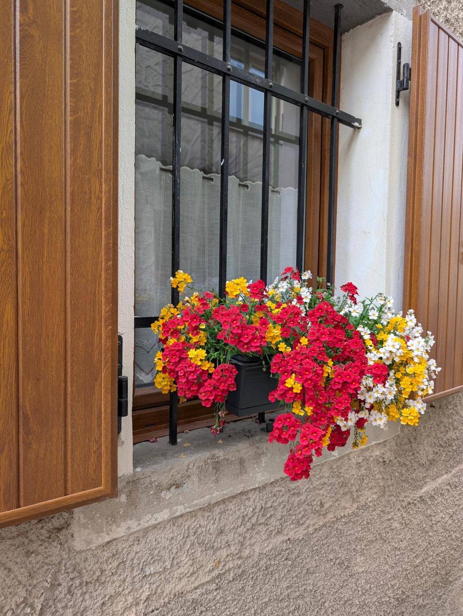 Appartement Miniapp. A 2 Km Da Pedavena Extérieur photo